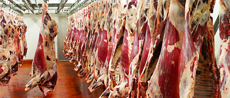 Avfukting i kjøttindustrien-Trotec