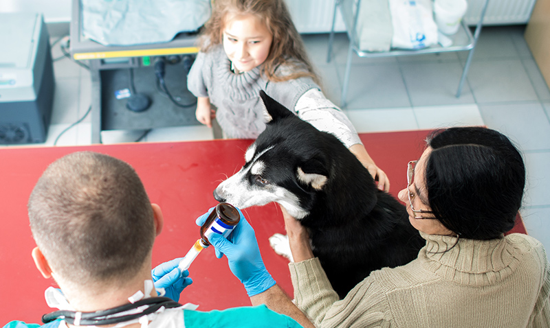 Veterinærmedisin-Trotec